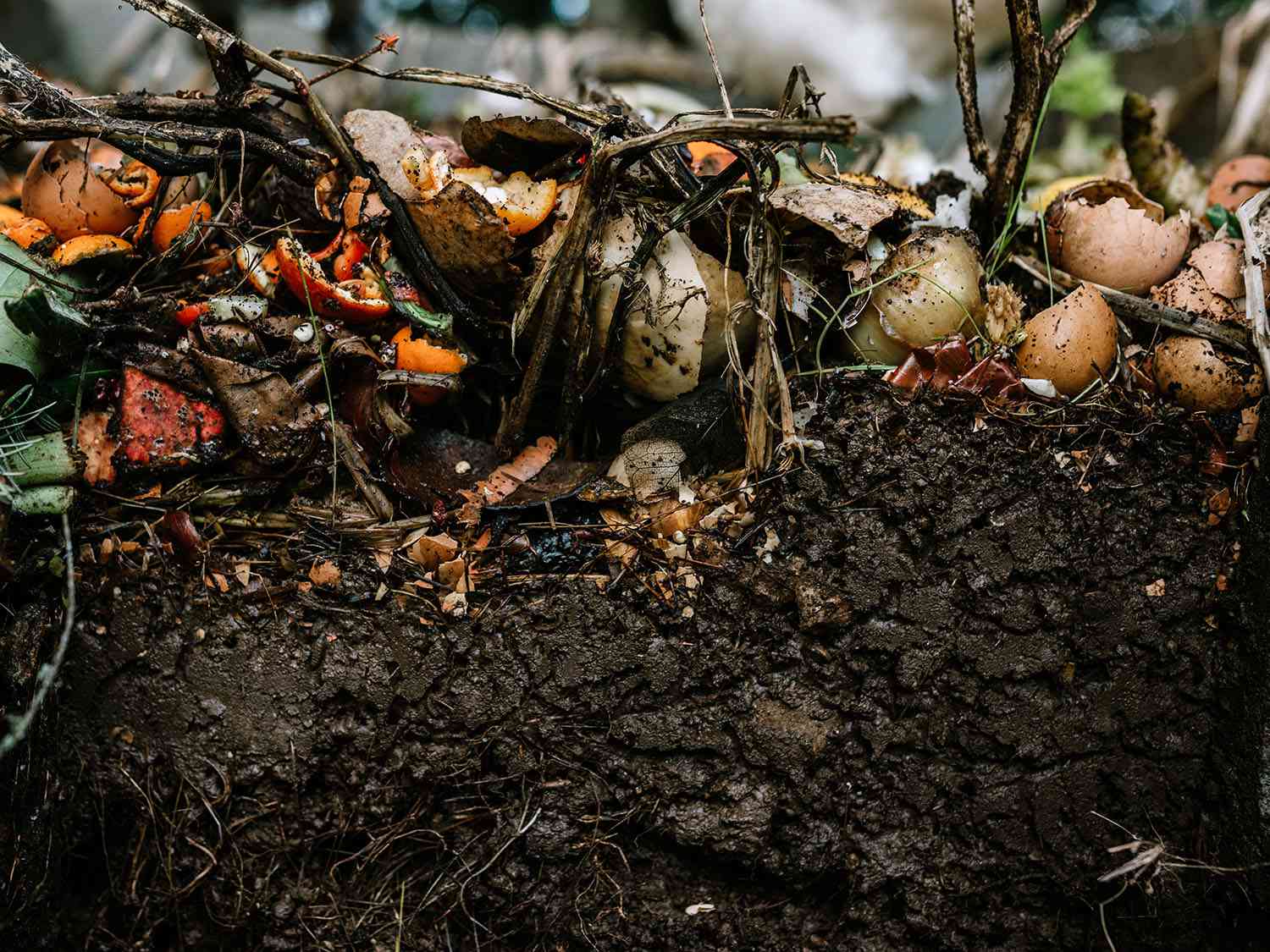 Assorted vegetable, fruit, yard clippings, and other things turn into nutrient rich and fertile soil for gardening and planting.