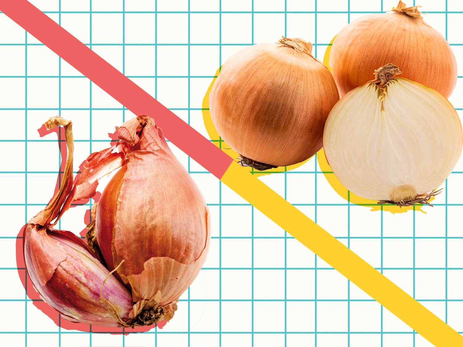 Graphic of shallots and white onions