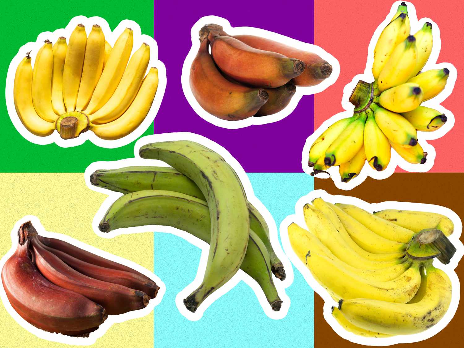 Collage of different banana types