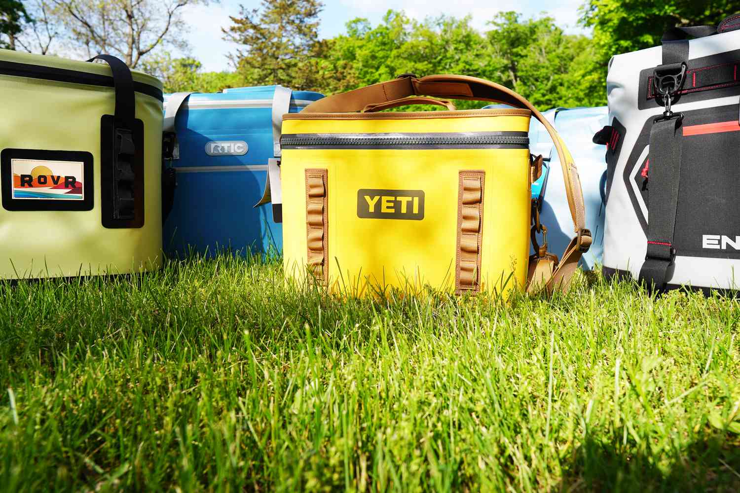 Several soft coolers on a grassy surface