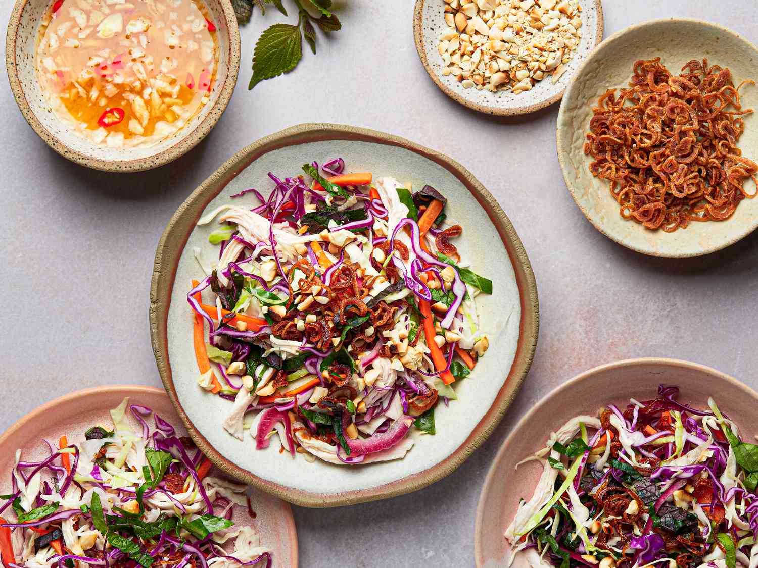 Overhead view of chicken and cabbage salad